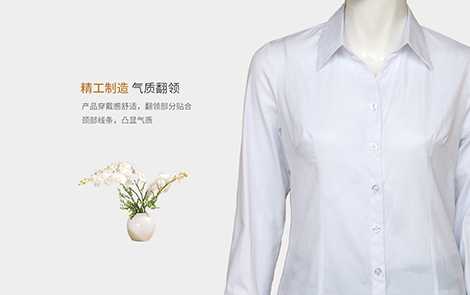 惠州白色小斜条棉质女士长袖衬衫