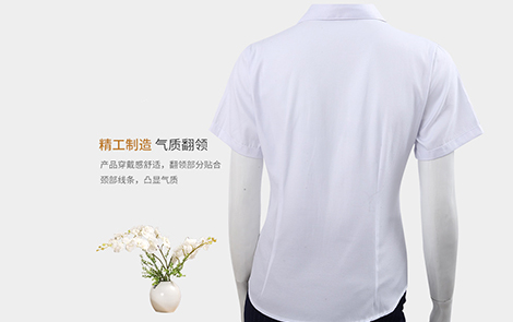 广州白色小斜条棉质女士长袖衬衫