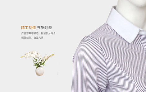 上海白领紫色对斜条棉质女士长袖衬衫