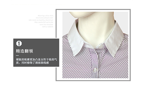 重庆白领紫色对斜条棉质女士长袖衬衫