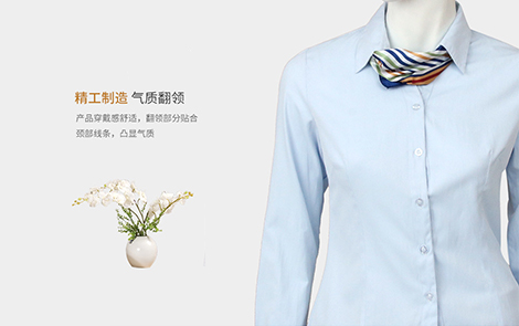 广州蓝色小斜条棉质女士长袖衬衫