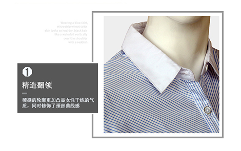 惠州白领蓝色对斜条棉质女士长袖衬衫