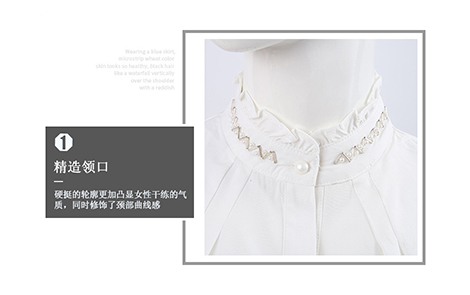 上海白色立领珠花木耳边雪纺女士短袖衬衫